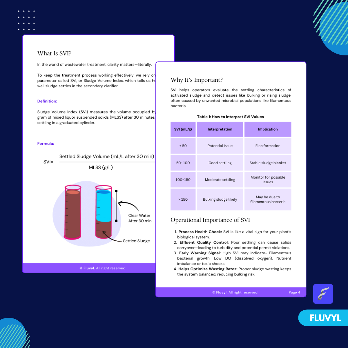 Understanding SVI Personal Guide