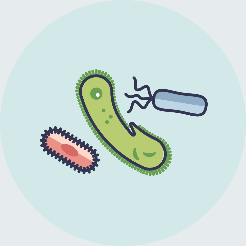 Food-to-Microorganism (FM) Ratio Calculator